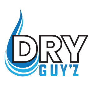 https://dry-guyz.com/wp-content/uploads/2021/11/dryguyzright-1.png